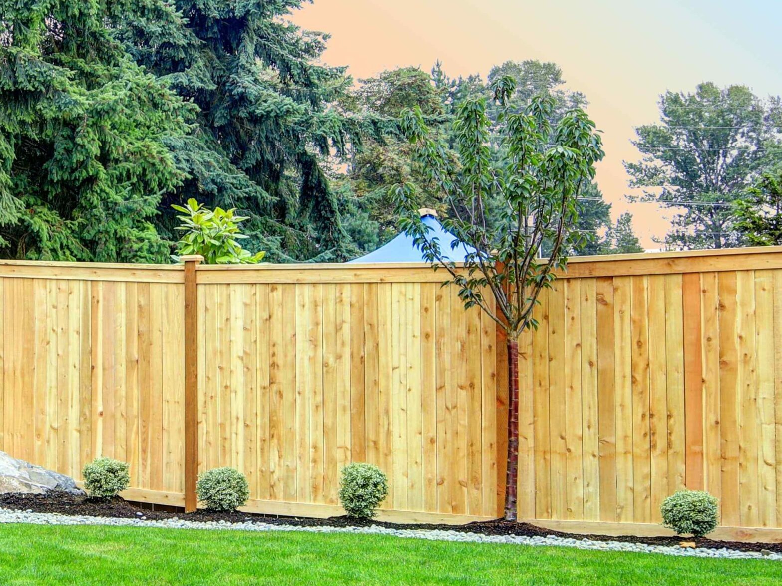 Photo of a wood fence from a South Jersey fence company